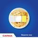 Засіб для миття посуду Carma Актив 500 мл 048314    фото 5