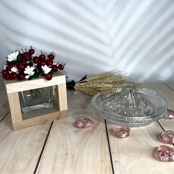 Соковитискач Pasabahce Basic 149х59 мм (54209) 055073    фото